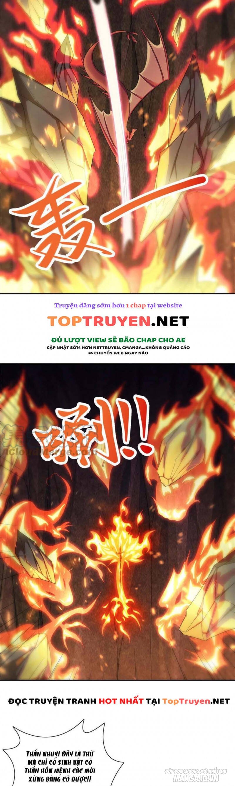 Mục Long Sư Chapter 247 - Trang 2