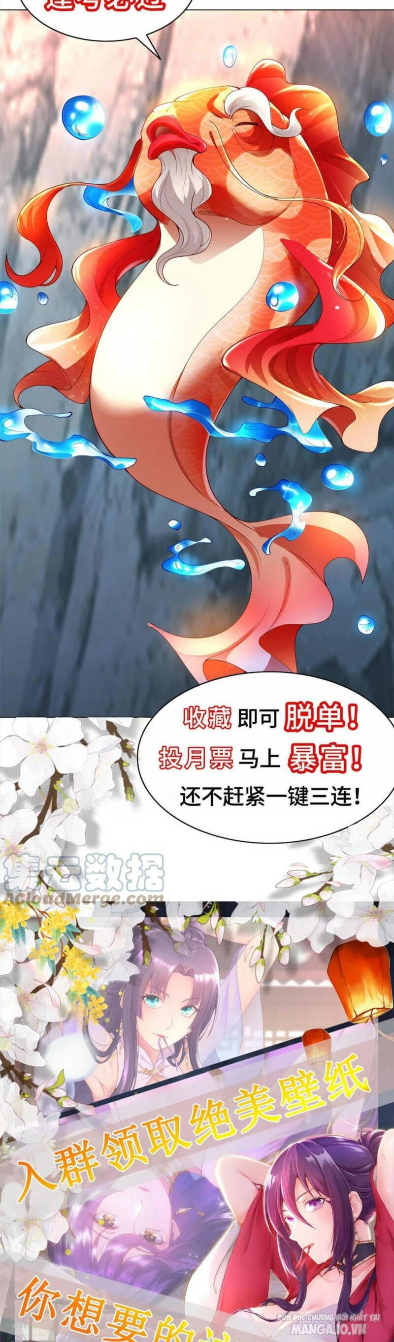 Mục Long Sư Chapter 251 - Trang 2