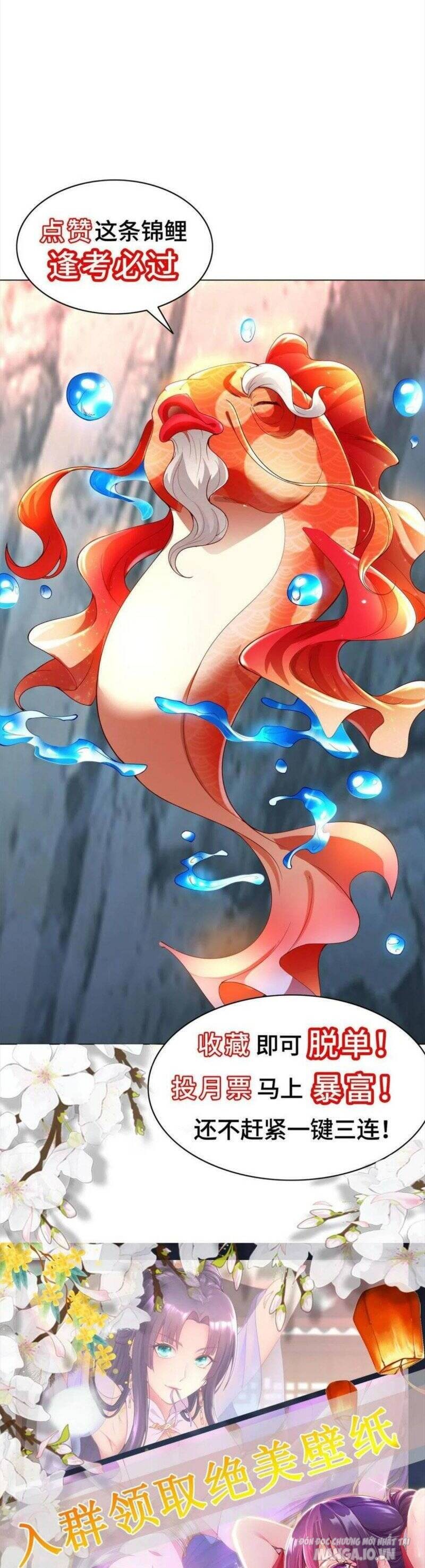 Mục Long Sư Chapter 252 - Trang 2