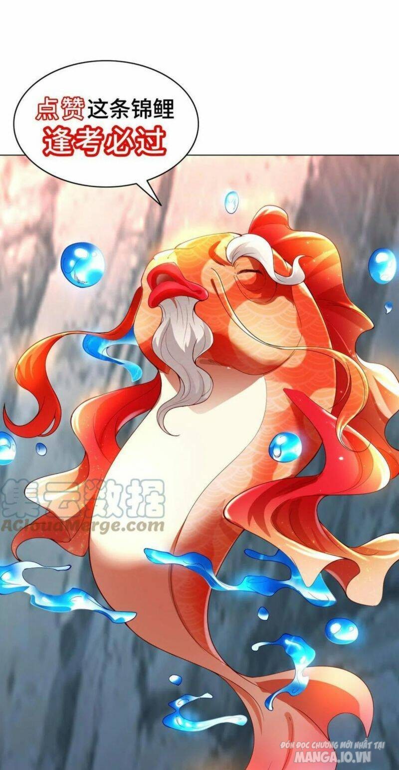 Mục Long Sư Chapter 269 - Trang 2