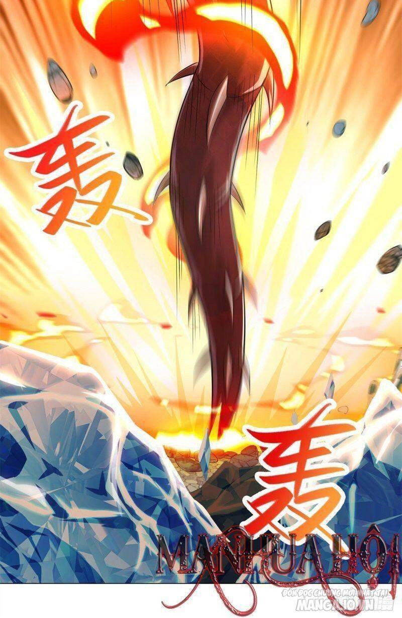 Mục Long Sư Chapter 27 - Trang 2