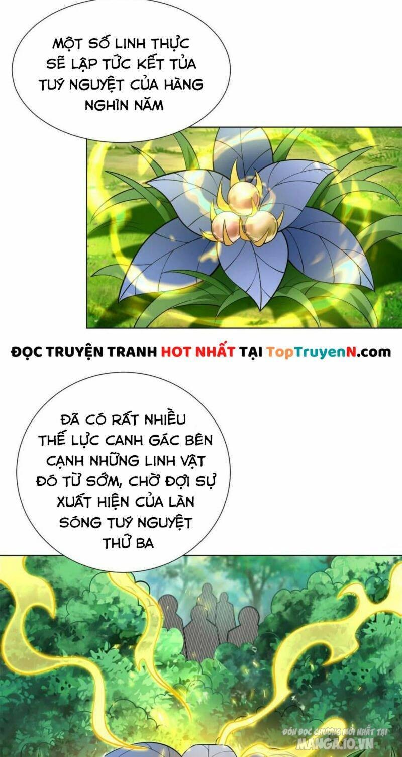 Mục Long Sư Chapter 270 - Trang 2