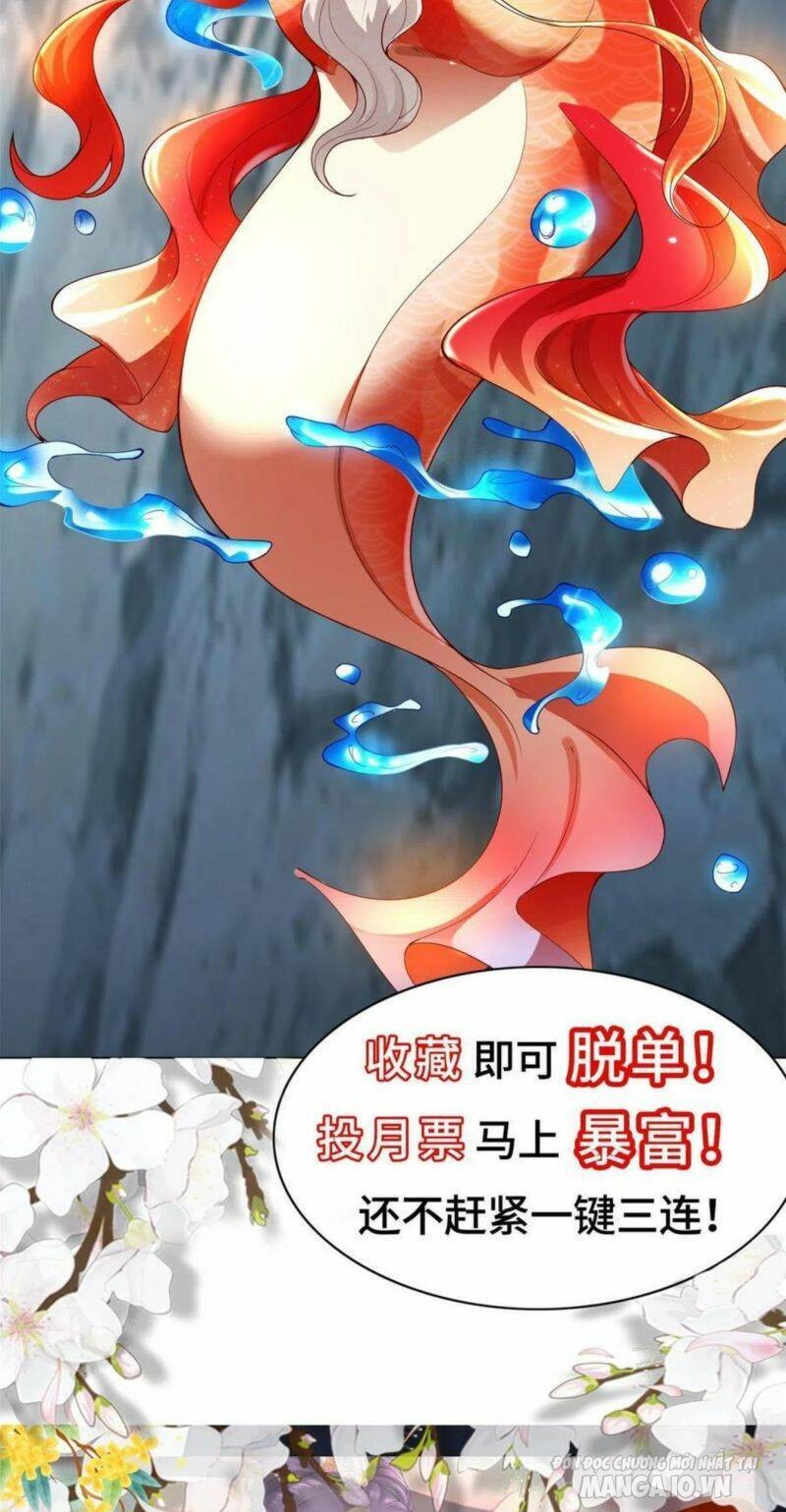 Mục Long Sư Chapter 280 - Trang 2