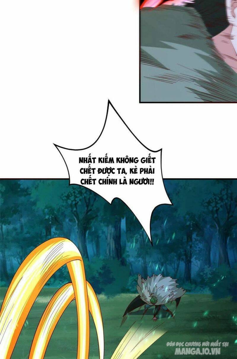 Mục Long Sư Chapter 284 - Trang 2