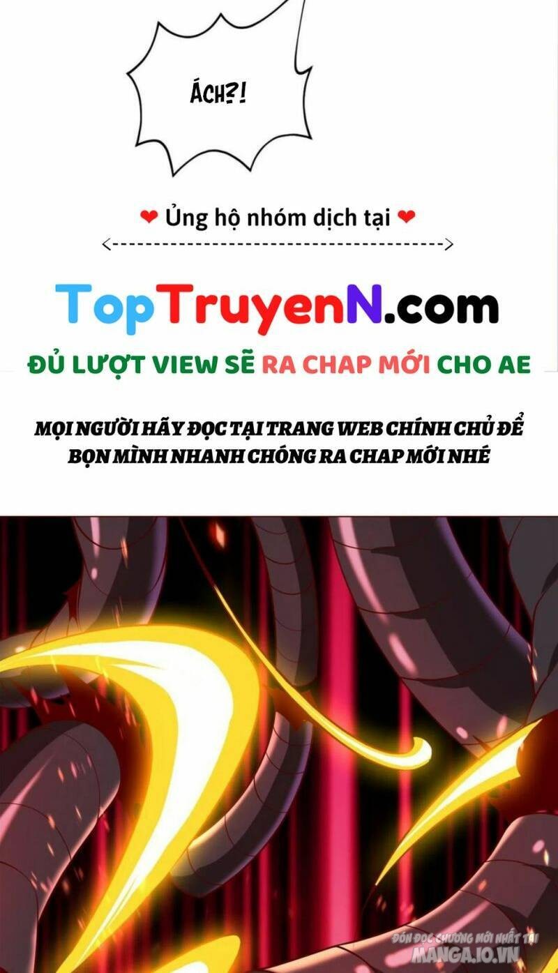 Mục Long Sư Chapter 288 - Trang 2