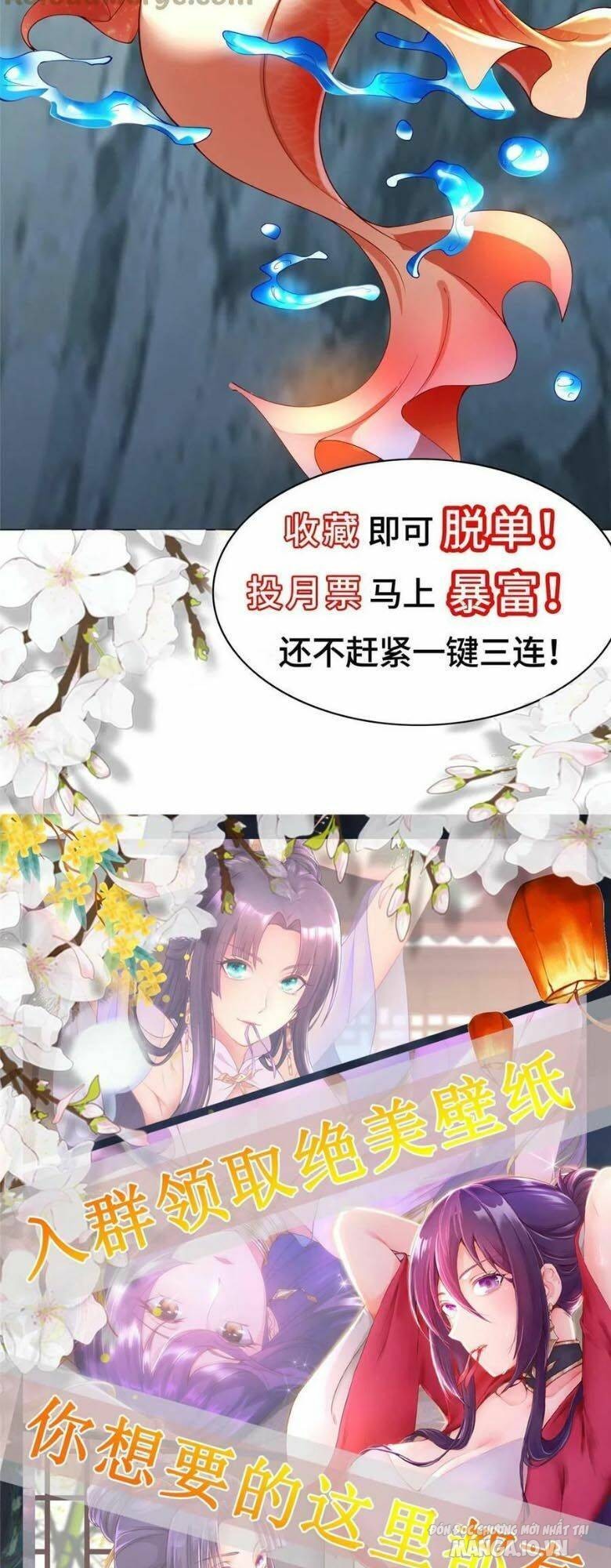 Mục Long Sư Chapter 291 - Trang 2