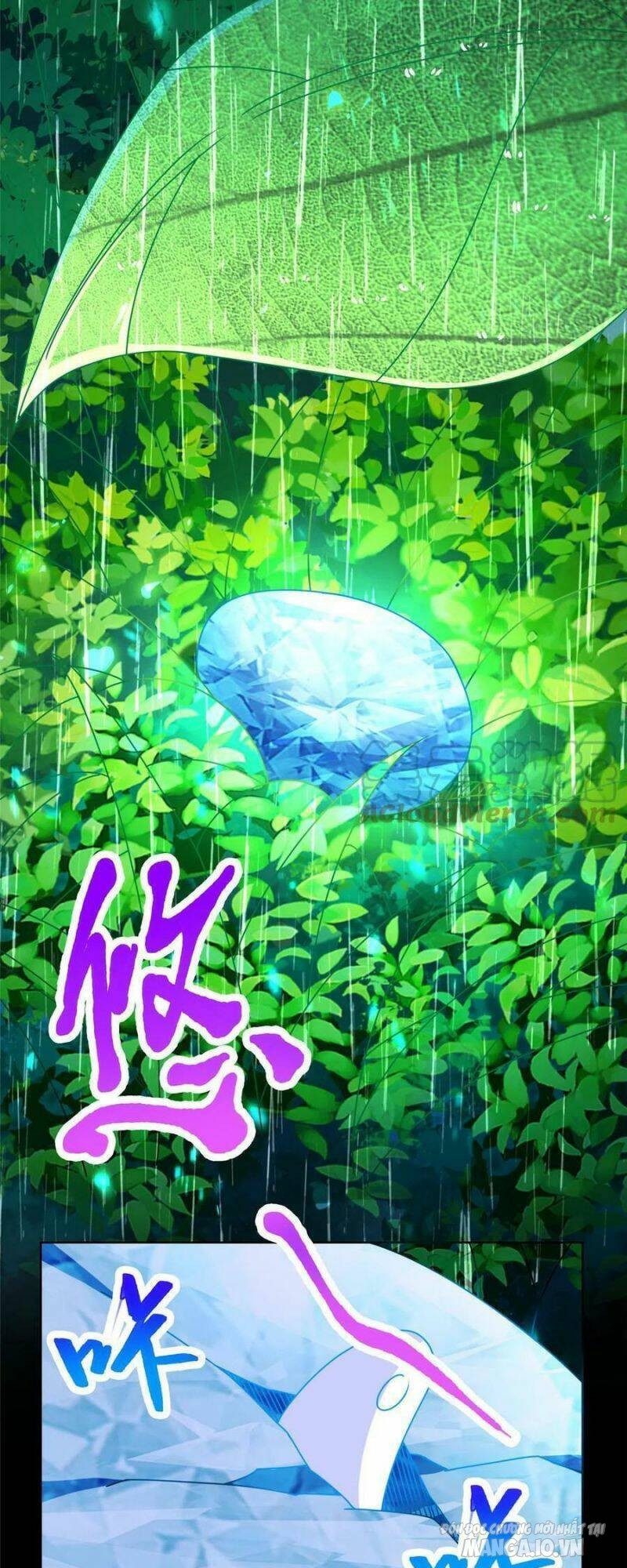 Mục Long Sư Chapter 294 - Trang 2