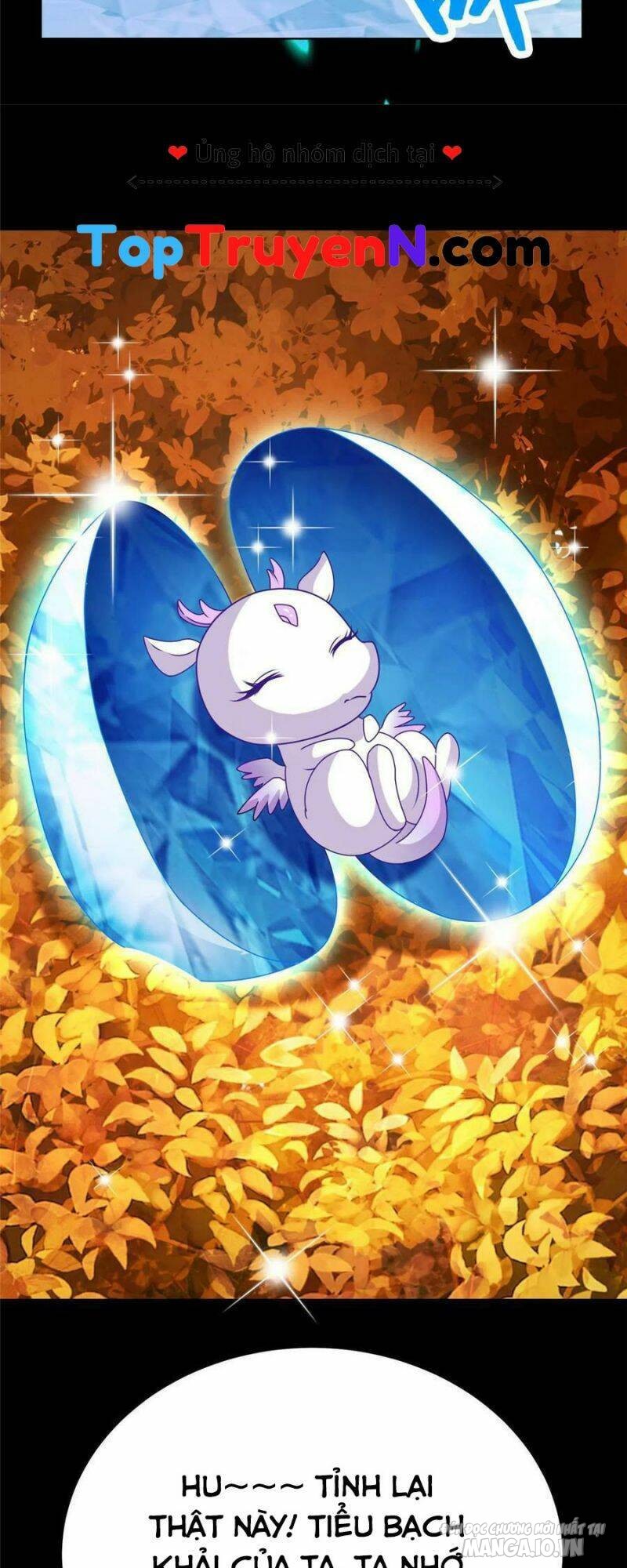 Mục Long Sư Chapter 294 - Trang 2