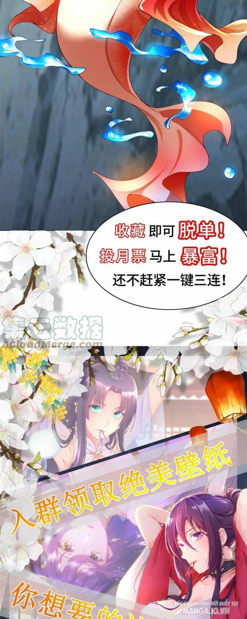 Mục Long Sư Chapter 299 - Trang 2