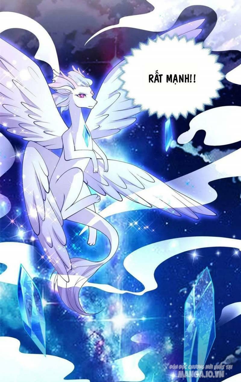 Mục Long Sư Chapter 326 - Trang 2