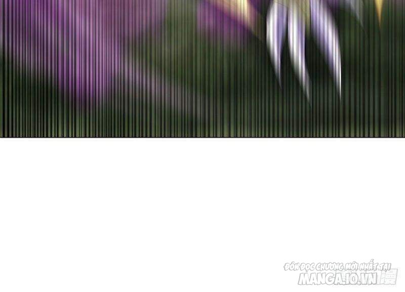 Mục Long Sư Chapter 33 - Trang 2