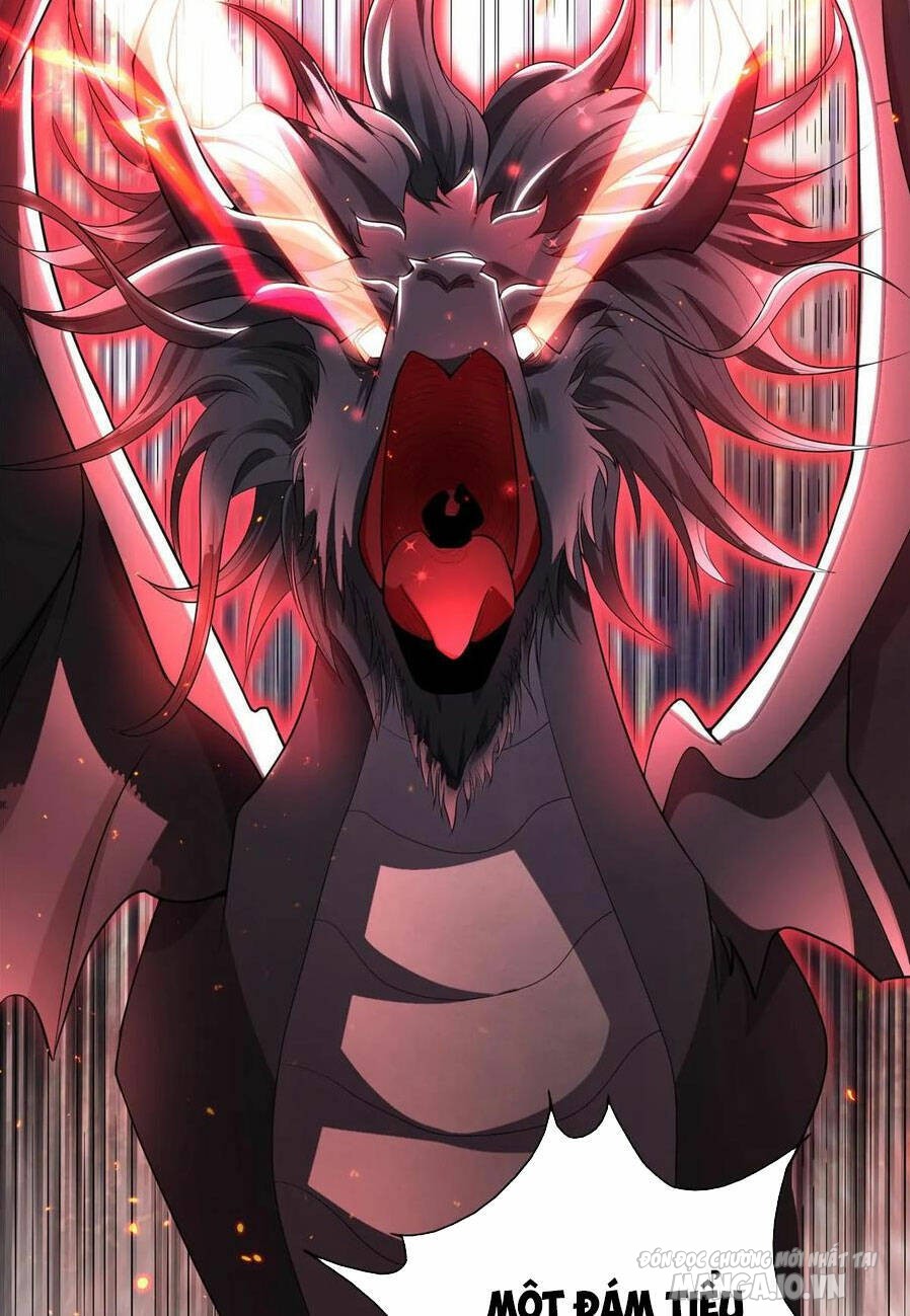 Mục Long Sư Chapter 342 - Trang 2