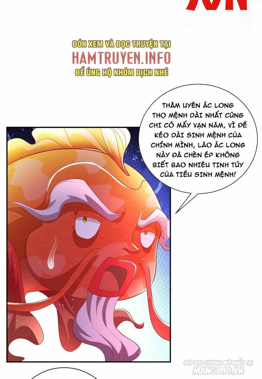 Mục Long Sư Chapter 342 - Trang 2