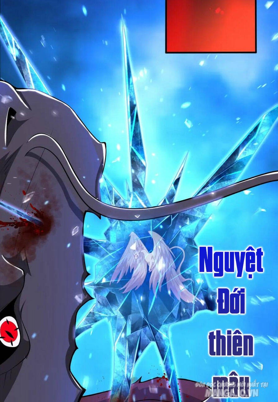 Mục Long Sư Chapter 343 - Trang 2