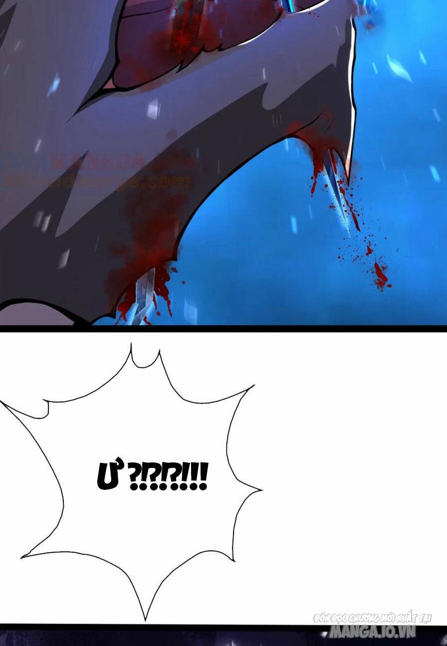 Mục Long Sư Chapter 343 - Trang 2