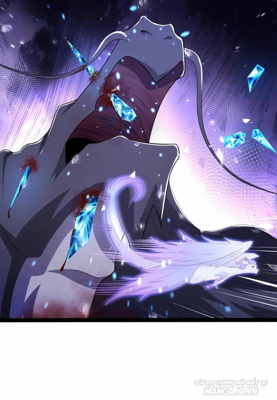 Mục Long Sư Chapter 343 - Trang 2