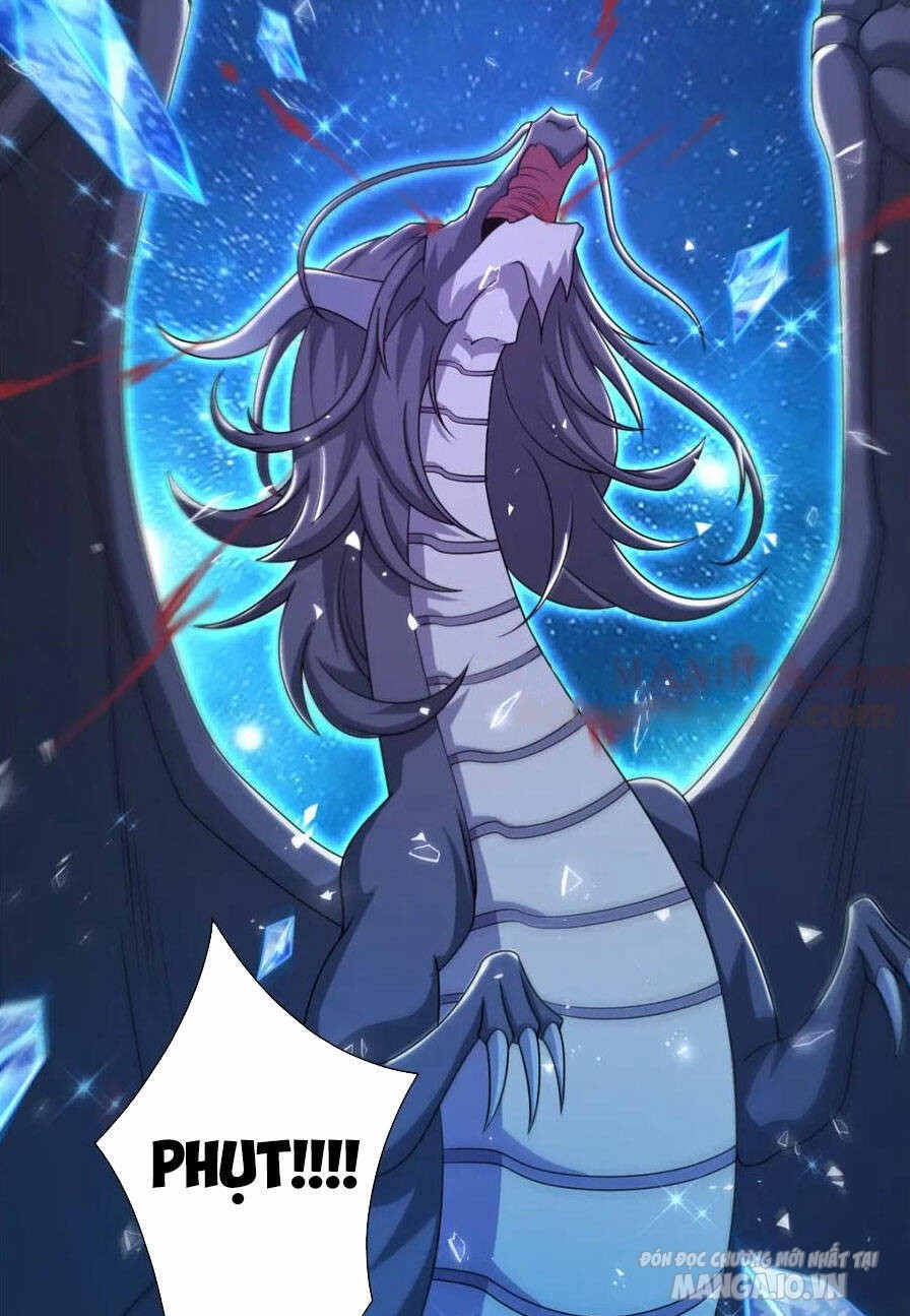 Mục Long Sư Chapter 343 - Trang 2