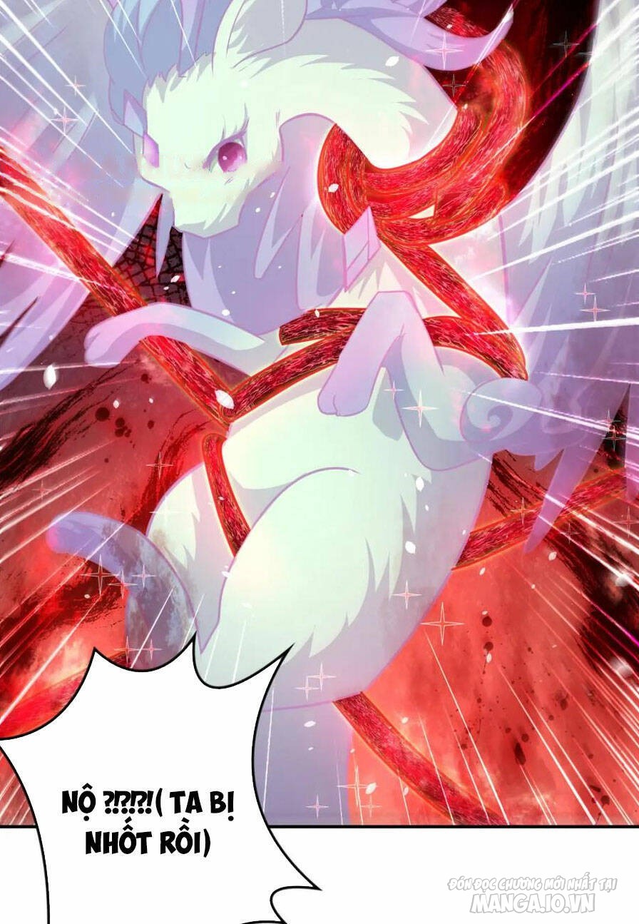 Mục Long Sư Chapter 343 - Trang 2