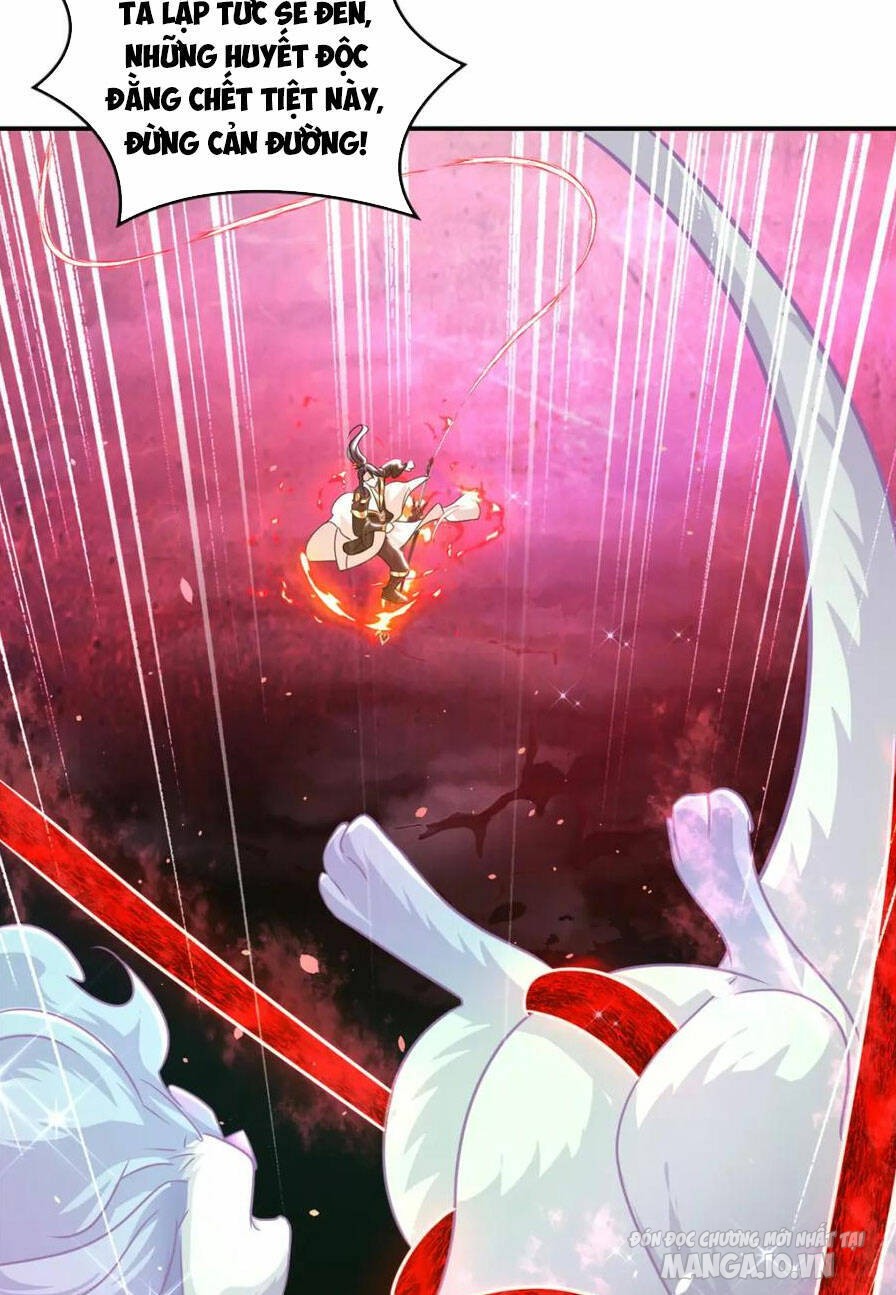 Mục Long Sư Chapter 343 - Trang 2