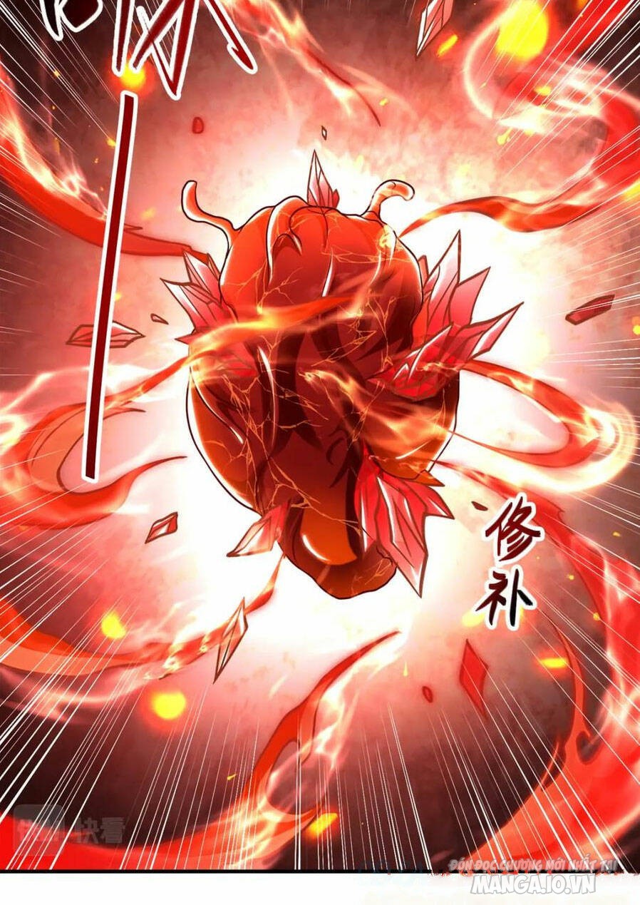 Mục Long Sư Chapter 344 - Trang 2