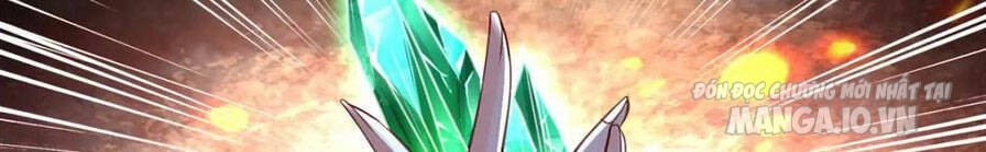 Mục Long Sư Chapter 344 - Trang 2