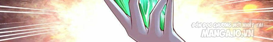 Mục Long Sư Chapter 344 - Trang 2