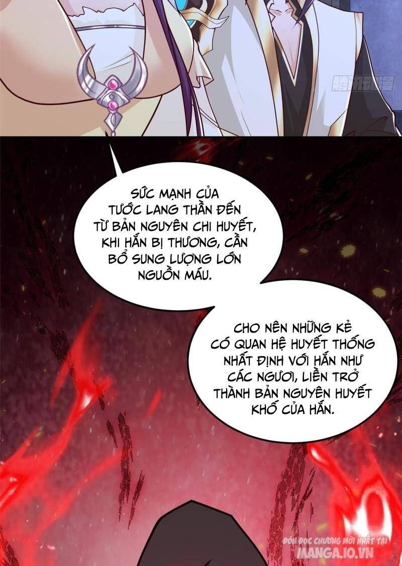 Mục Long Sư Chapter 352 - Trang 2