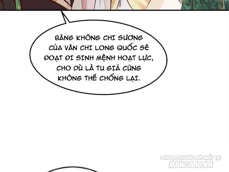 Mục Long Sư Chapter 361 - Trang 2
