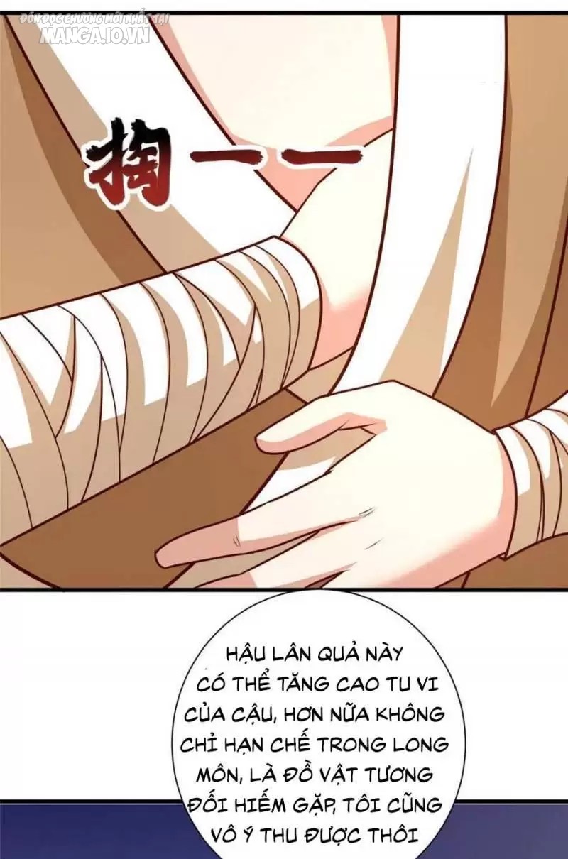 Mục Long Sư Chapter 381 - Trang 2