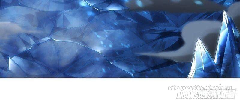 Mục Long Sư Chapter 41 - Trang 2