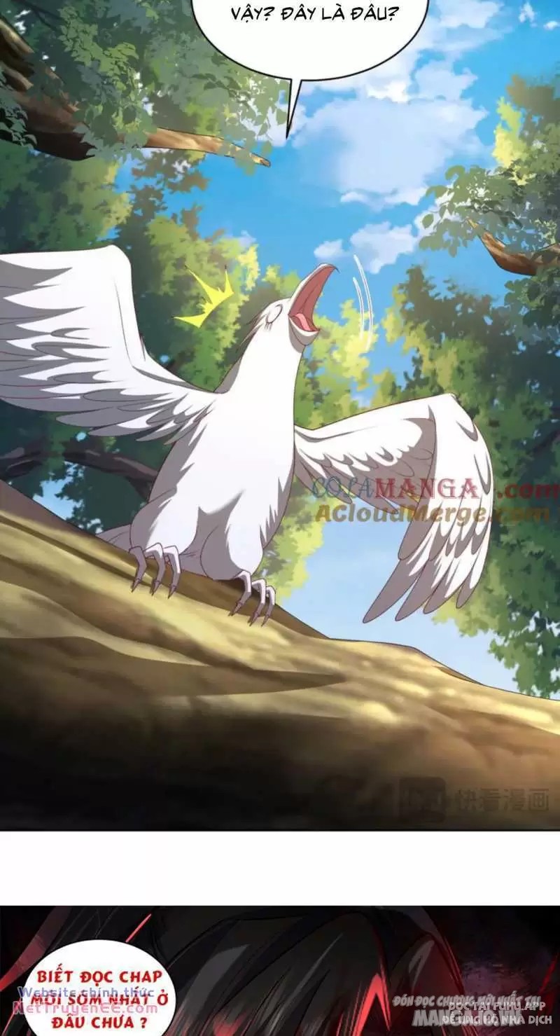 Mục Long Sư Chapter 411 - Trang 2