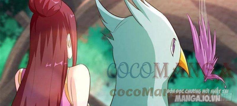 Mục Long Sư Chapter 71 - Trang 2