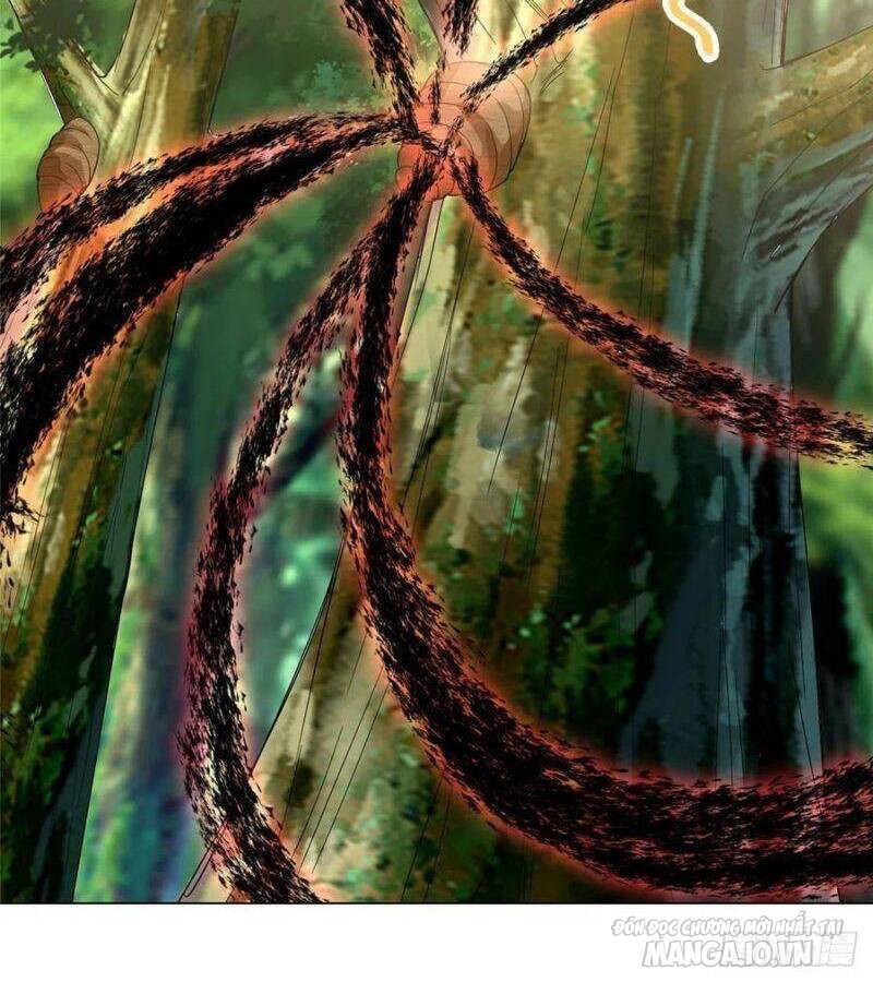 Mục Long Sư Chapter 75 - Trang 2