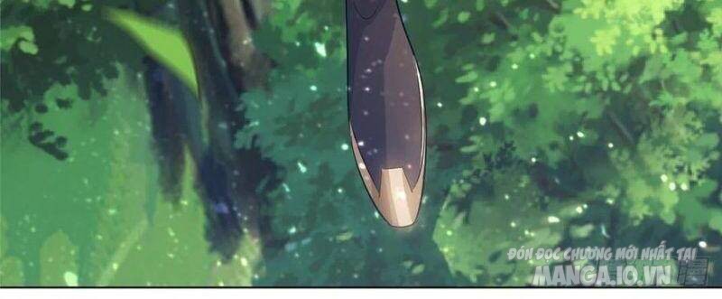 Mục Long Sư Chapter 75 - Trang 2