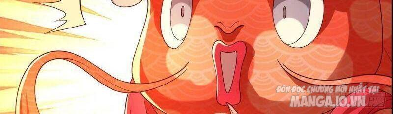 Mục Long Sư Chapter 88 - Trang 2