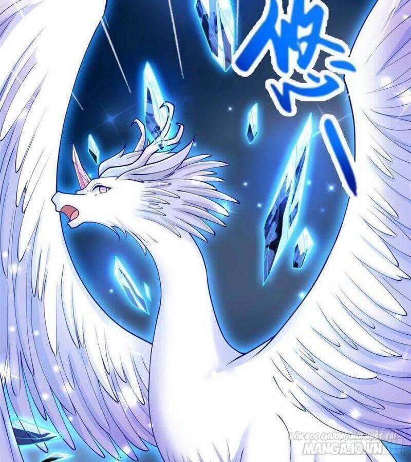 Mục Long Sư Chapter 96 - Trang 2