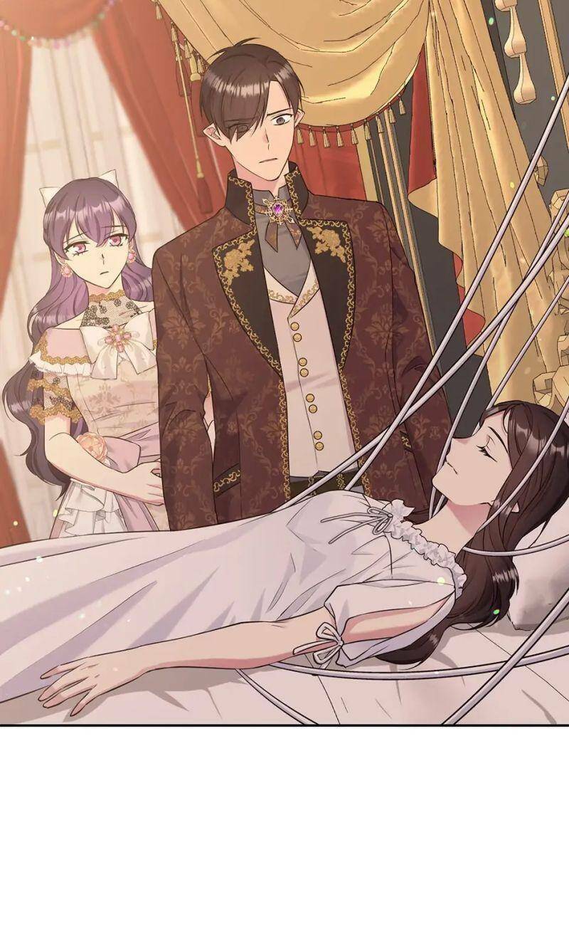 Mục Tiêu Là Cuộc Sống Hoàn Hảo Bất Khả Xâm Phạm Chapter 96 - Trang 2