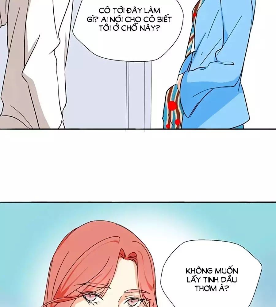 Mùi Hương Lãng Mạn Chapter 20 - Trang 2