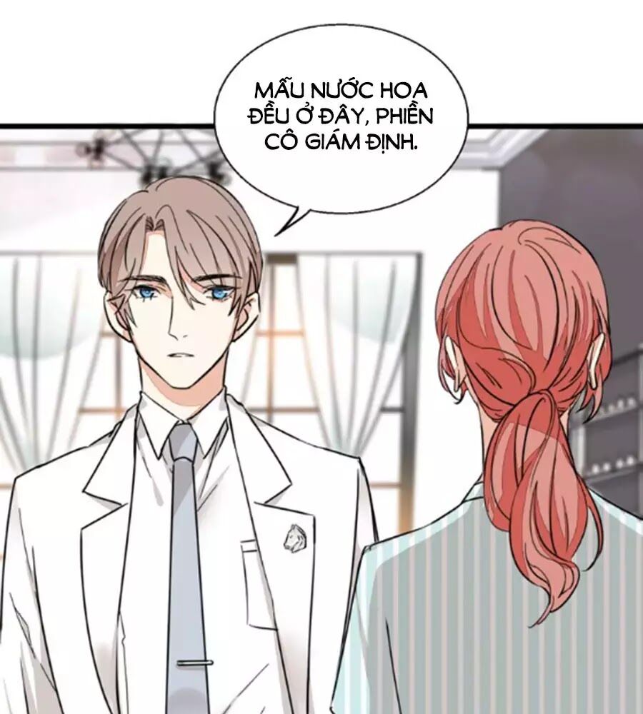 Mùi Hương Lãng Mạn Chapter 25 - Trang 2