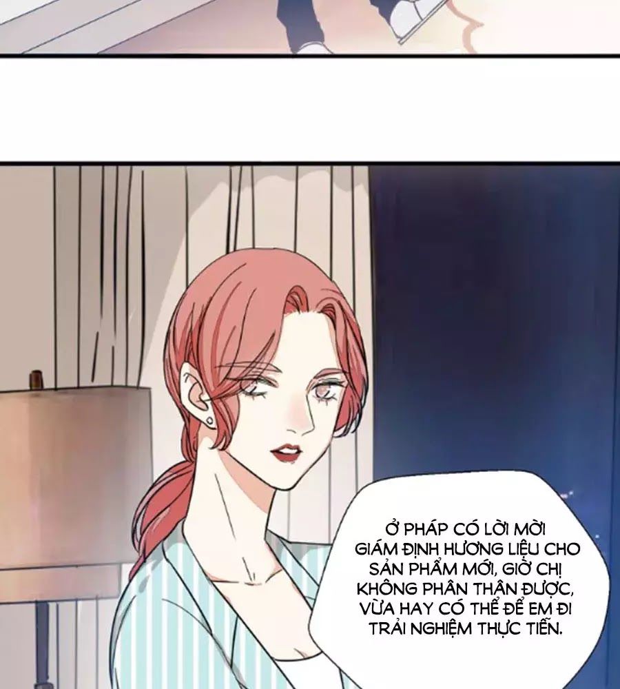 Mùi Hương Lãng Mạn Chapter 26 - Trang 2