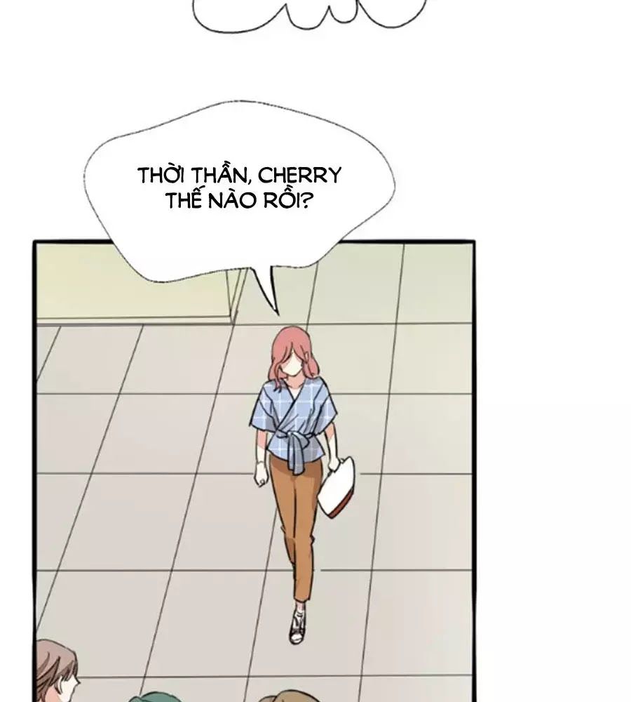 Mùi Hương Lãng Mạn Chapter 27 - Trang 2