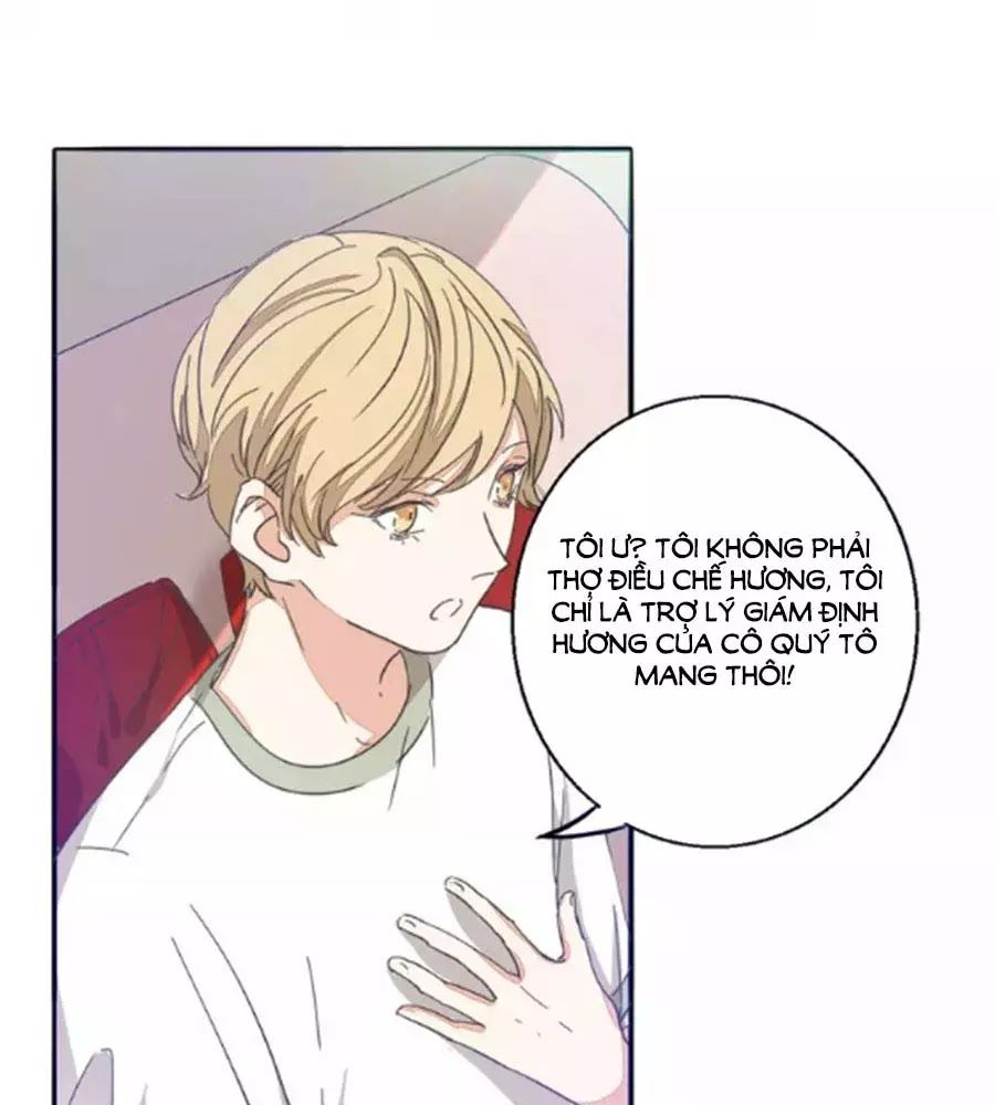 Mùi Hương Lãng Mạn Chapter 31 - Trang 2