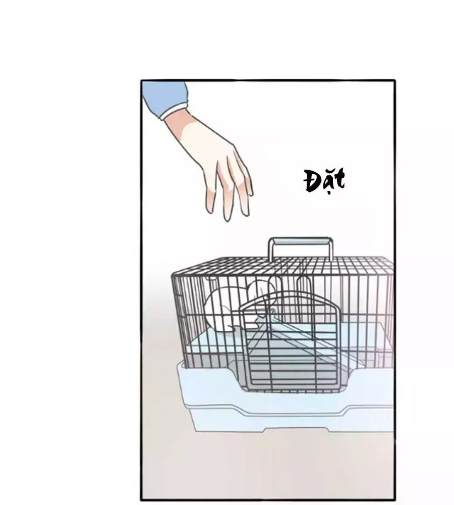 Mùi Hương Lãng Mạn Chapter 38 - Trang 2