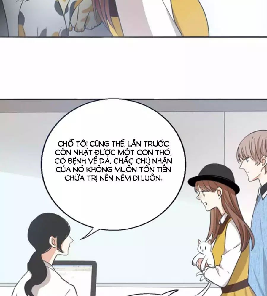 Mùi Hương Lãng Mạn Chapter 38 - Trang 2