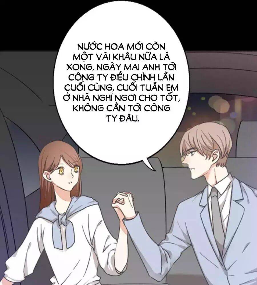 Mùi Hương Lãng Mạn Chapter 40.5 - Trang 2