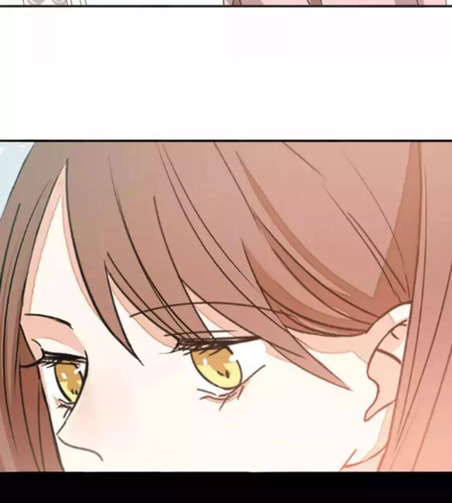 Mùi Hương Lãng Mạn Chapter 40.5 - Trang 2