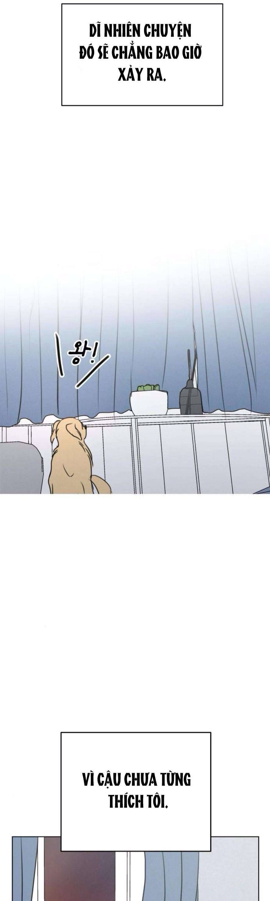 Muốn Được Lừa Dối Chapter 18 - Trang 2