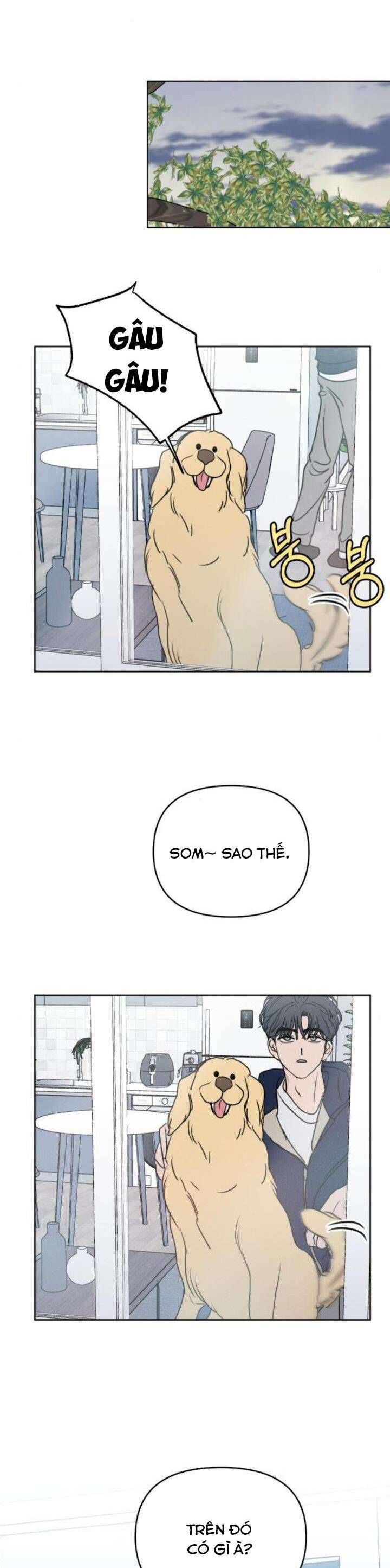 Muốn Được Lừa Dối Chapter 20 - Trang 2