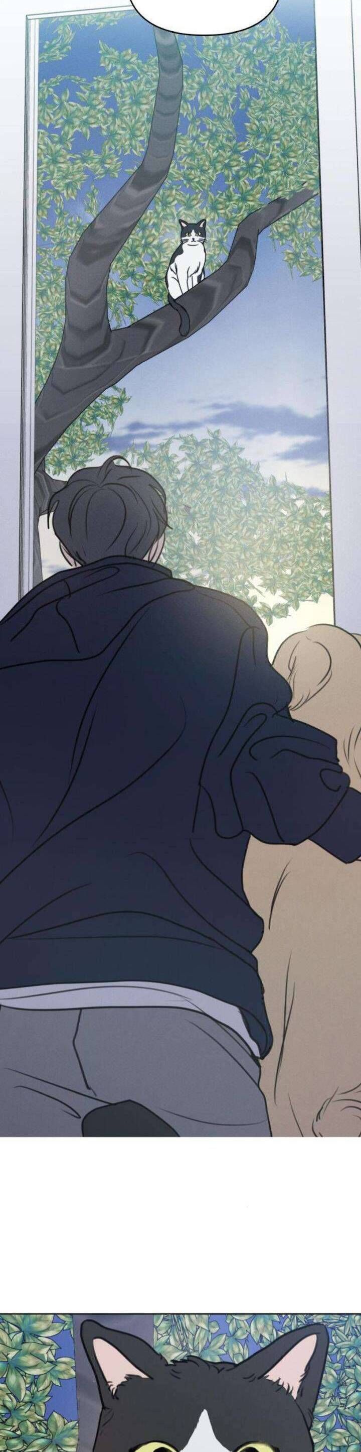 Muốn Được Lừa Dối Chapter 20 - Trang 2
