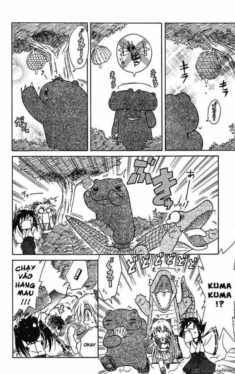 Nagasarete Airantou Chapter 14 - Trang 2